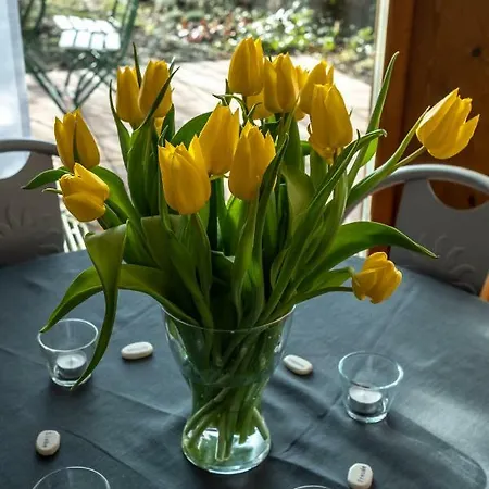 Lägenhet Fewo Litzendorf Litzendorf